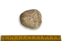 F 07069
<br/>
<br/>
<em></em>